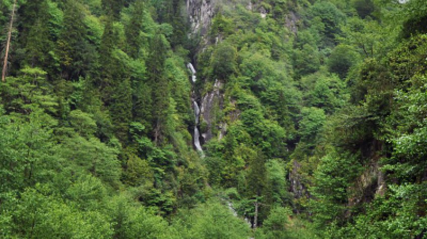 Ayder Tour With Fırtına Valley Adventure photo 8
