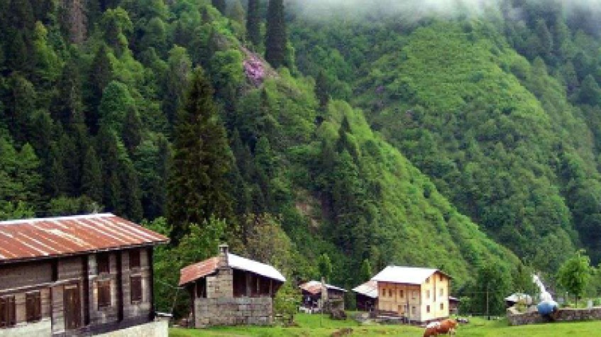 Ayder Tour With Fırtına Valley Adventure photo 9