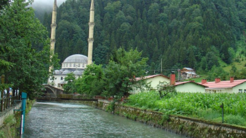 Uzungol Tour With Tea Factory Visit photo 9