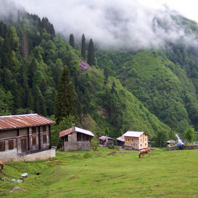 Eastern Black Sea Tour, 4 Days from Trabzon photo 5