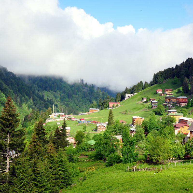 Romantic Honeymoon 7 Days Trabzon & Uzungol photo 4