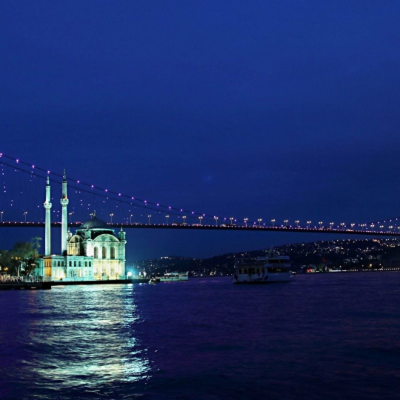 Istanbul Bosphorus Dinner Cruise / Limited Local Drinks (Alcohol and Soft Drinks) photo 8