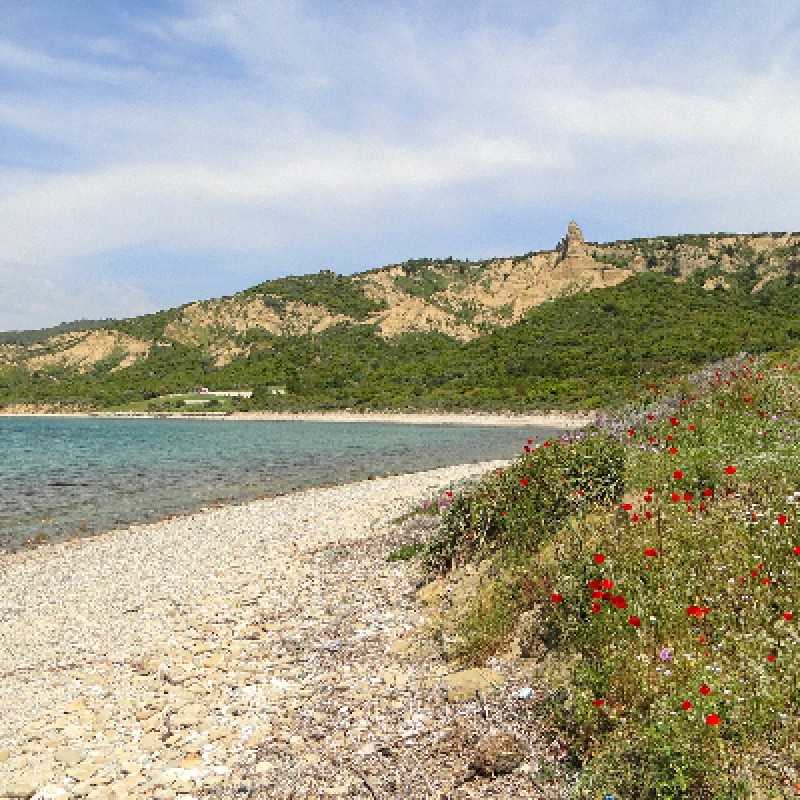 2 Days 1 Night Gallipoli & Troy Tour from Istanbul photo 4