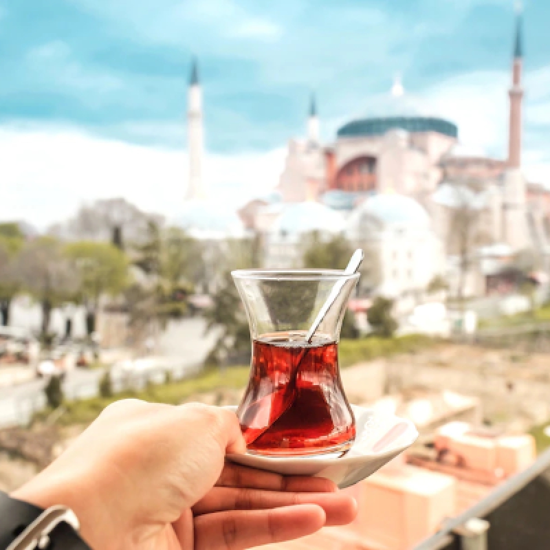 Best Travel Agency for Turkey 10 Day Trip photo 1