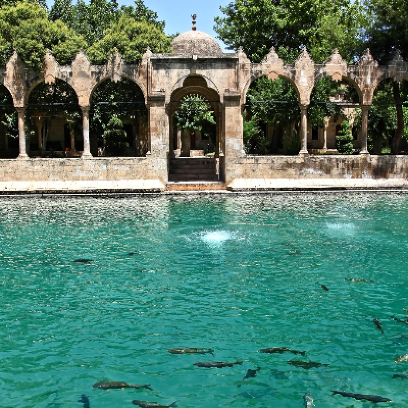 Best of Eastern Turkey 9 Day Tour photo 4