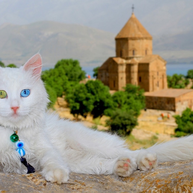 Best of Eastern Turkey 9 Day Tour photo 8