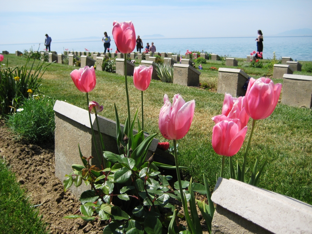 3 Day Gallipoli in Depth Tour from Istanbul with Troy photo 2
