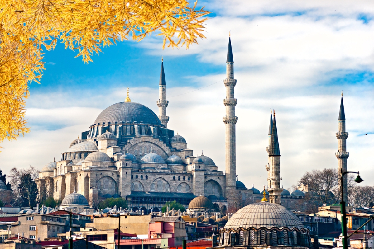 12 Day Family Tour Turkey photo 1