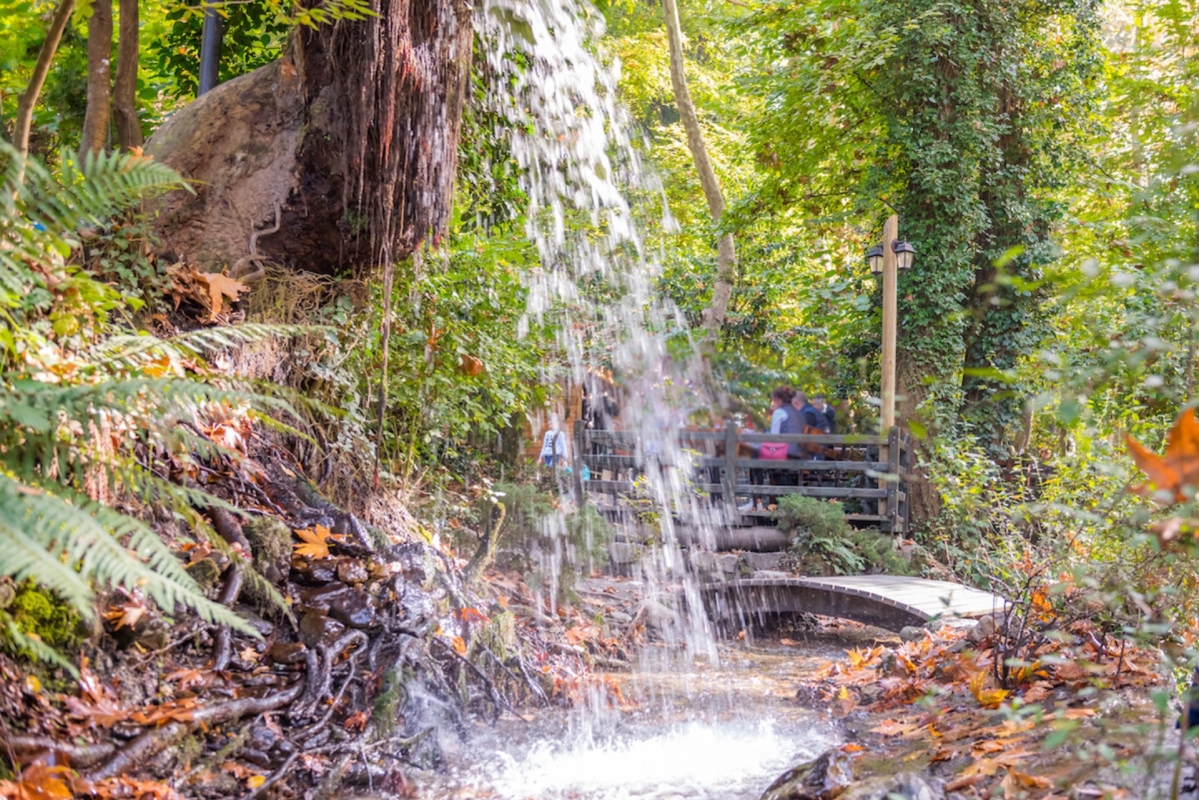 2 Day Istanbul Natural Eco Discovery photo 2