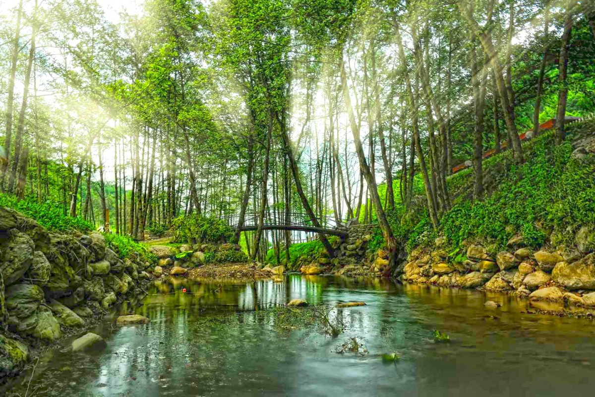 3 Day Discover Marmara Natural Eco Tour photo 3