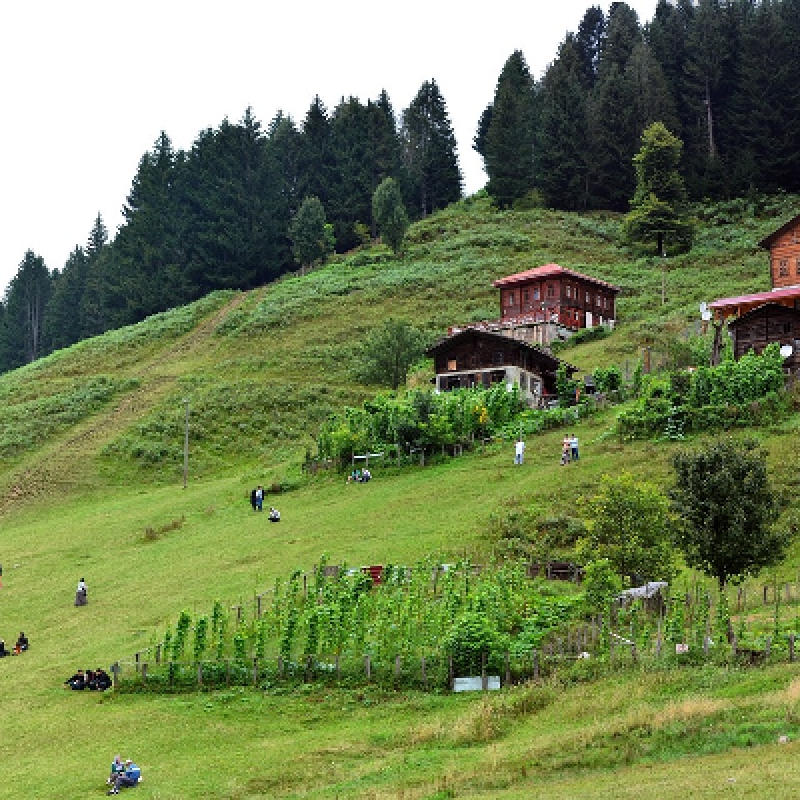 Ayder Tour Rize Black Sea Highlands Waterfalls and Nature Experience photo 2