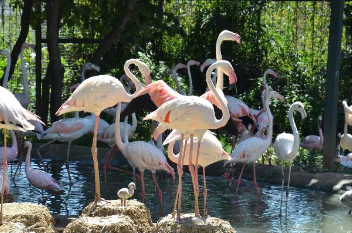 Ulink Natural Discovery Eco Package 6 Day Tours photo 2