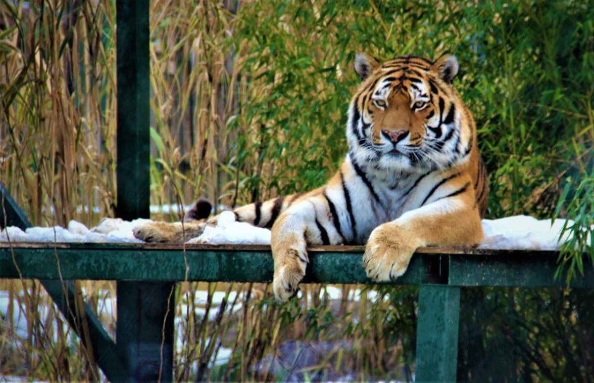 Ulink Natural Discovery Eco Package 6 Day Tours photo 3