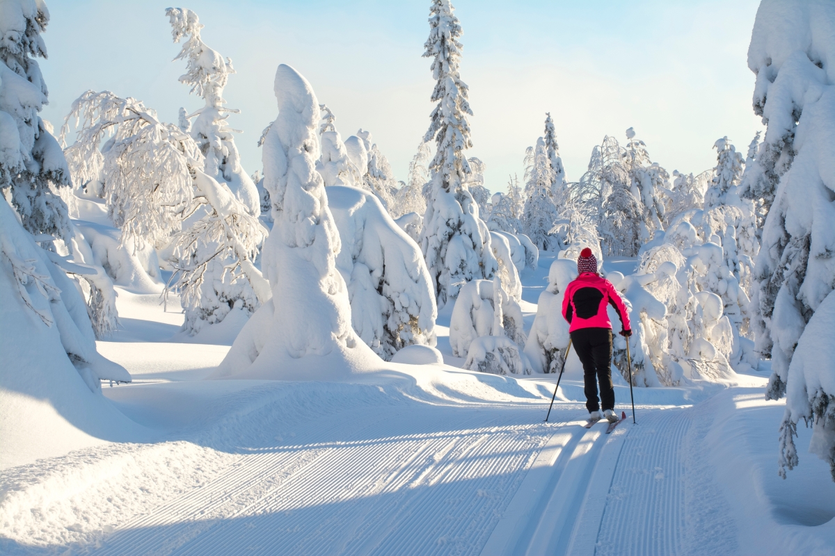 Daily Kartepe Ski Tour from Istanbul – Winter Sports Adventure photo 7