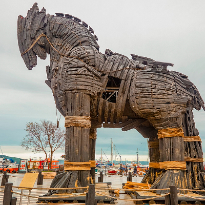 5-Day Turkey Tour: Ankara to Ephesus, Pamukkale, Pergamon, Troy & Gallipoli photo 6