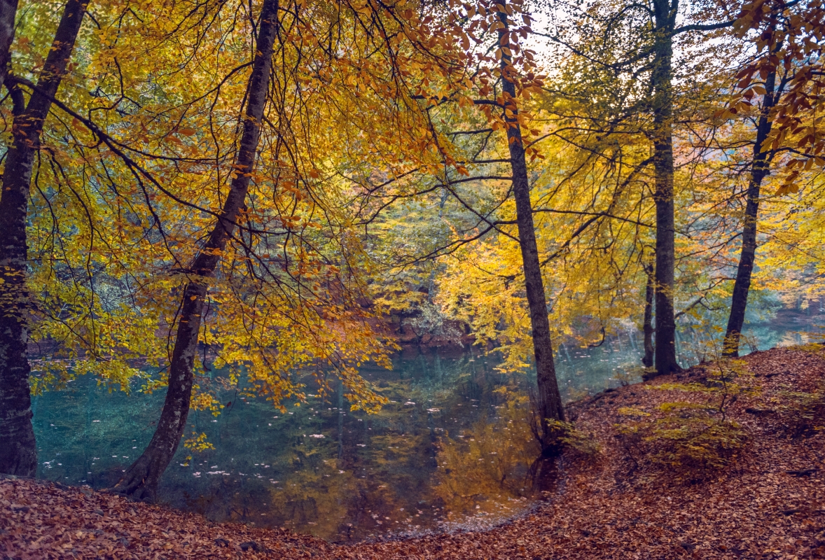 Daily Seven Lakes and Abant Lake Tour from Istanbul – Nature, Hiking & Scenic Views photo 8
