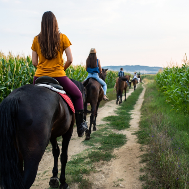 5 Days Horse Riding Package Istanbul Tour photo 1