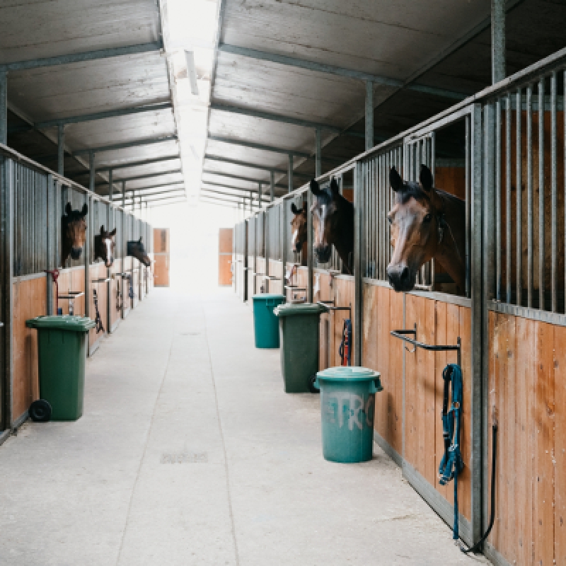 5 Days Horse Riding Package Istanbul Tour photo 2