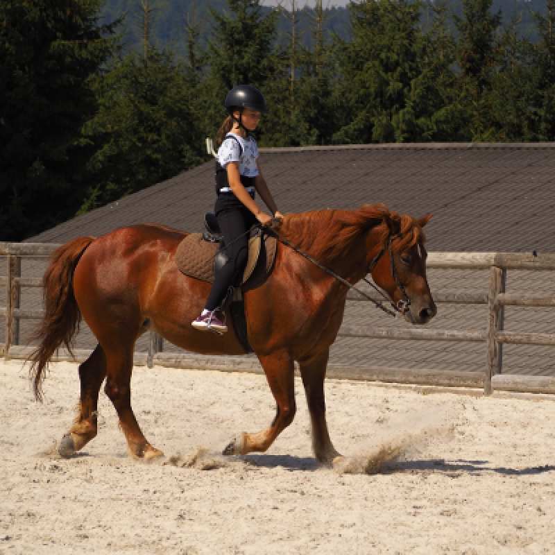5 Days Horse Riding Package Istanbul Tour photo 3