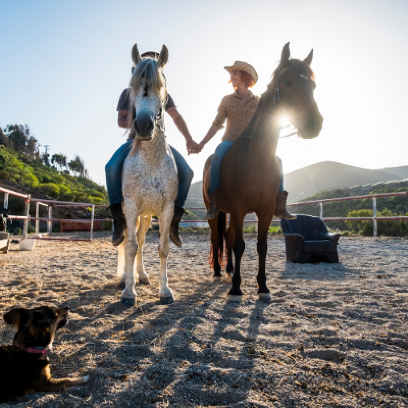 5 Days Horse Riding Package Istanbul Tour photo 4
