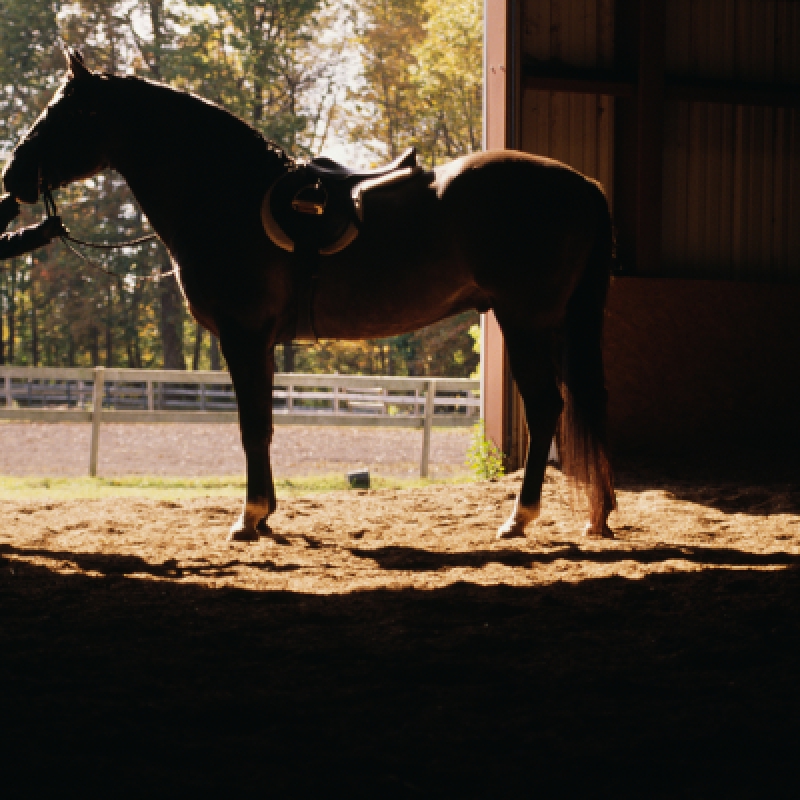 5 Days Horse Riding Package Istanbul Tour photo 6