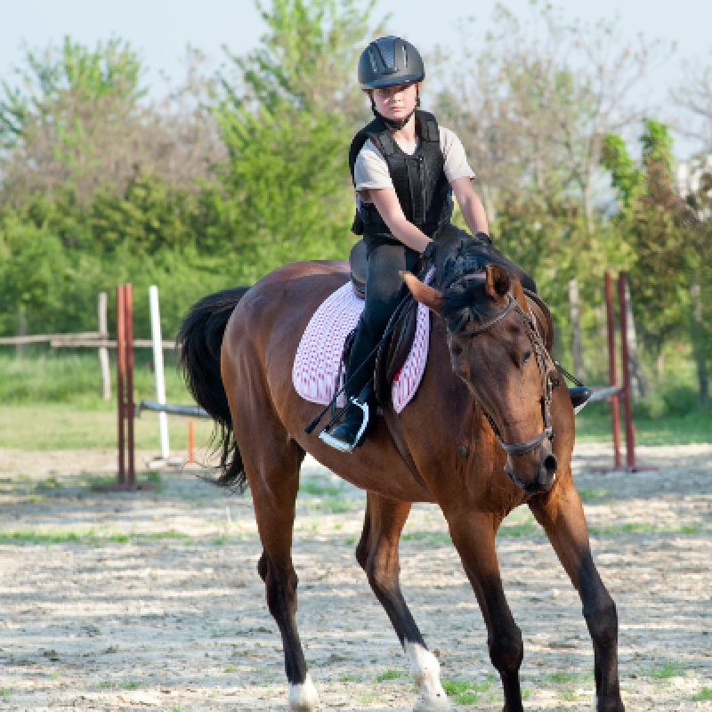 5 Days Horse Riding Package Istanbul Tour photo 7