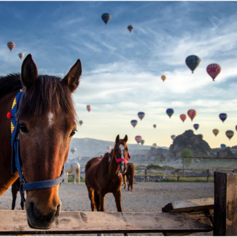 4 Days Horse Riding Package Cappadocia Tour photo 10