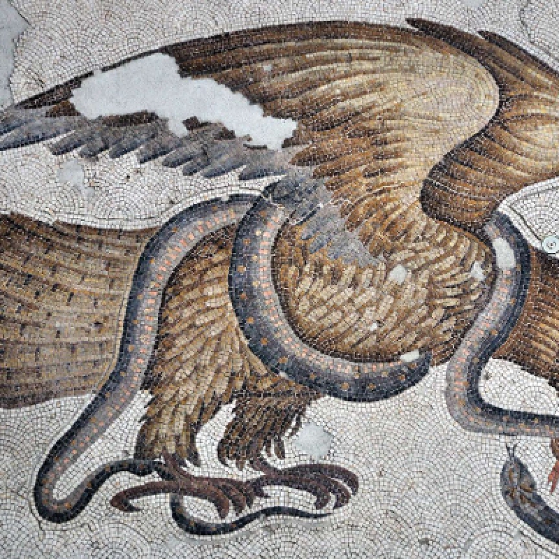 Great Palace Mosaic Museum Tour Istanbul – Explore Byzantine Art & History photo 1