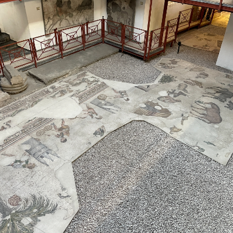 Great Palace Mosaic Museum Tour Istanbul – Explore Byzantine Art & History photo 6