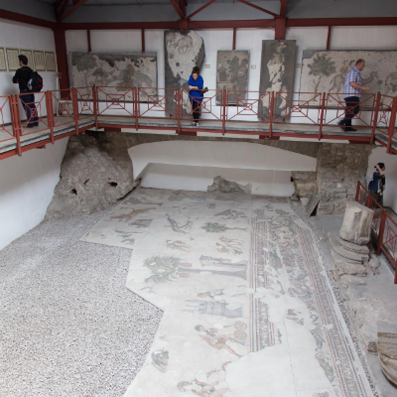 Great Palace Mosaic Museum Tour Istanbul – Explore Byzantine Art & History photo 7