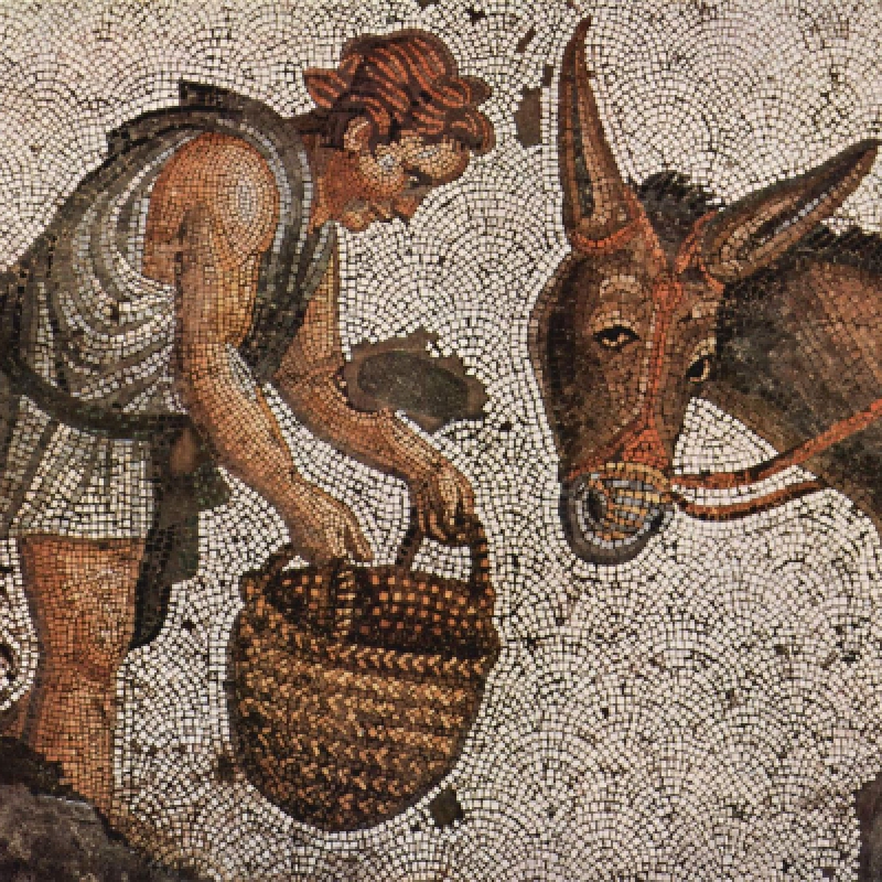 Great Palace Mosaic Museum Tour Istanbul – Explore Byzantine Art & History photo 8
