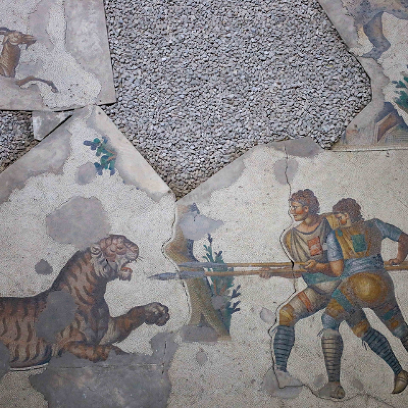 Great Palace Mosaic Museum Tour Istanbul – Explore Byzantine Art & History photo 9