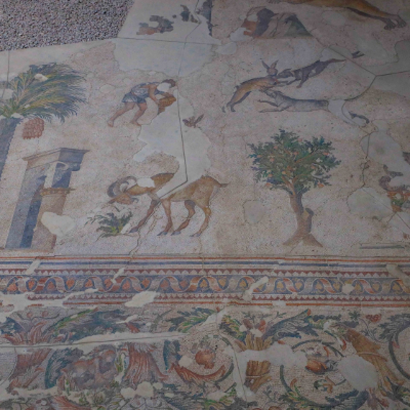 Great Palace Mosaic Museum Tour Istanbul – Explore Byzantine Art & History photo 10