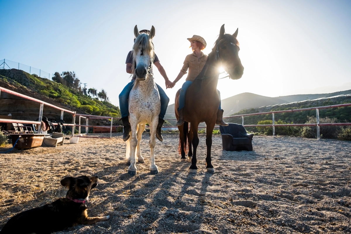 Daily Istanbul Horse Safari Tour