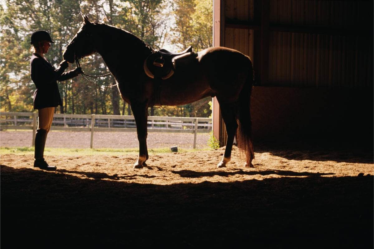 Daily Istanbul Horse Safari Tour photo 3