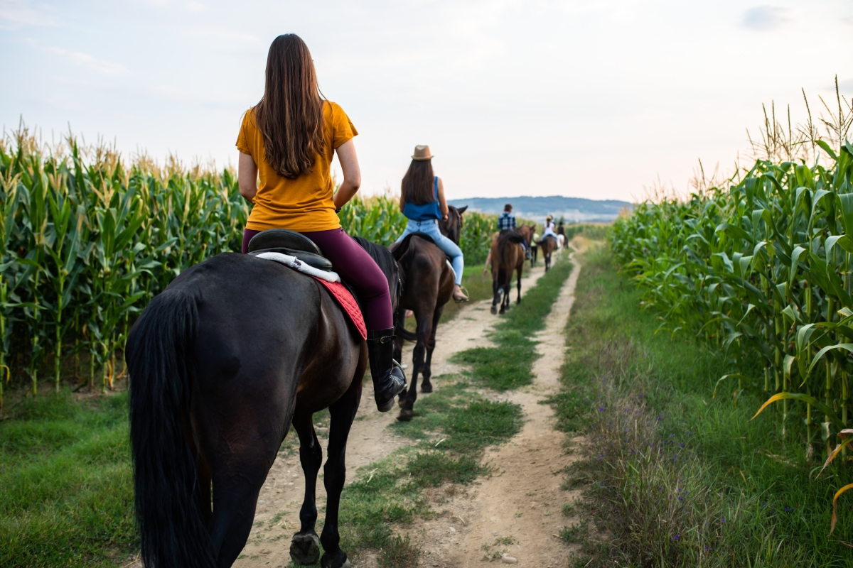 Daily Istanbul Horse Safari Tour photo 5