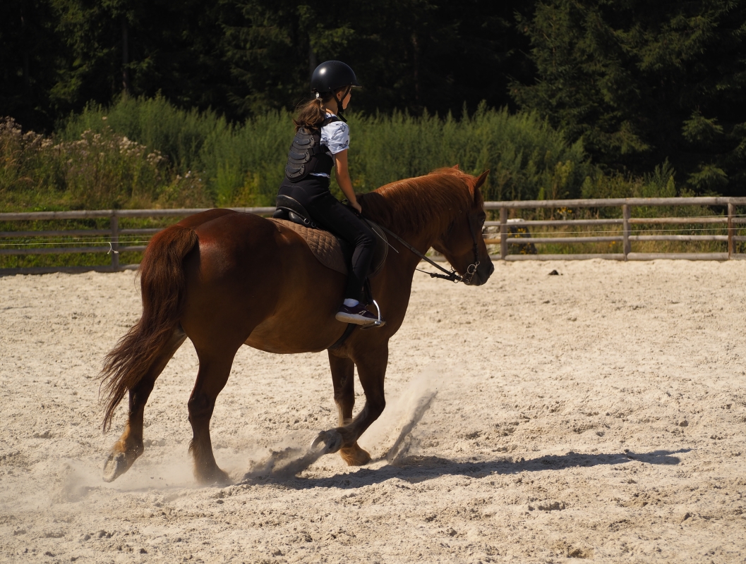 Daily Istanbul Horse Safari Tour photo 9