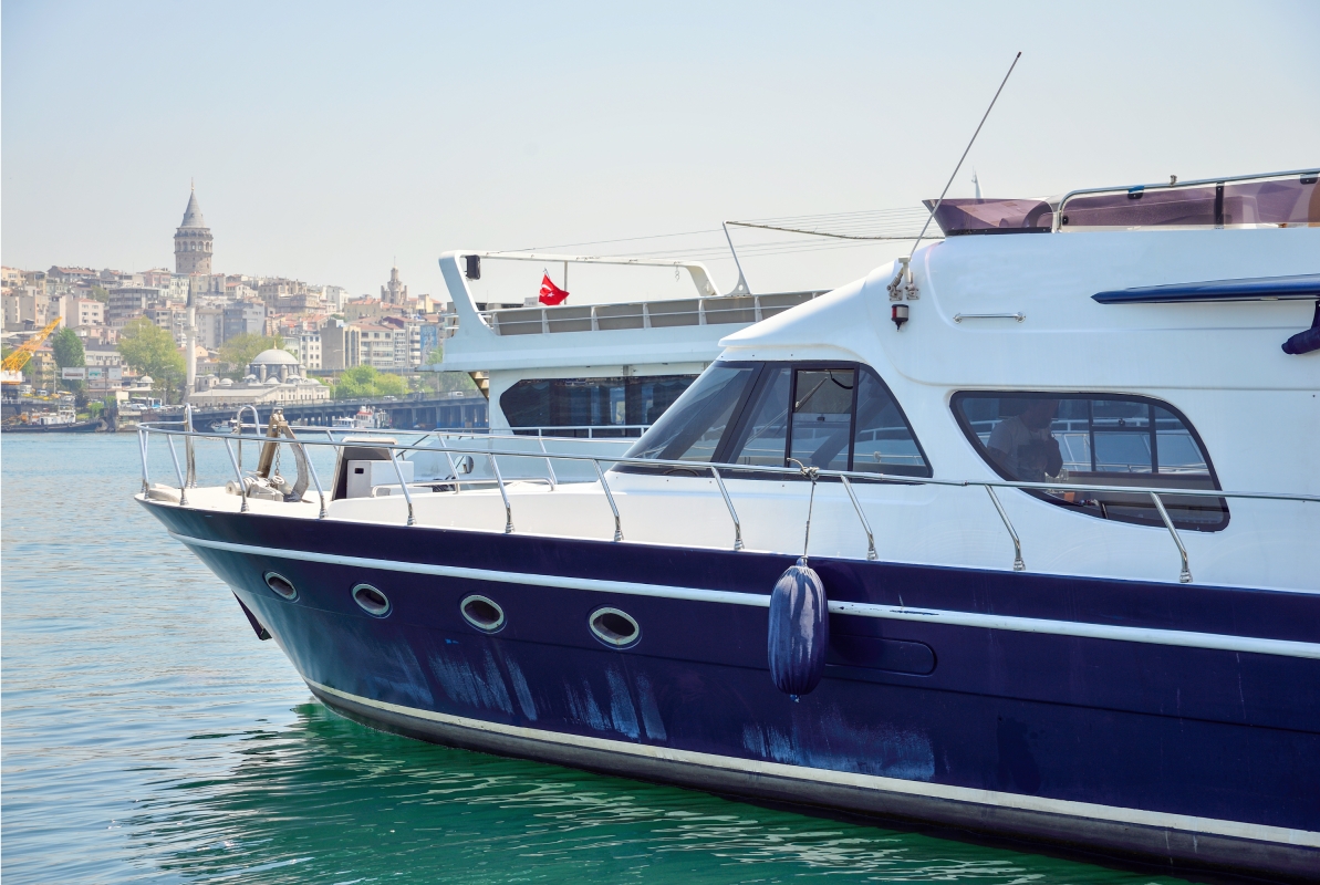 Istanbul Bosphorus Cruise & Black Sea Tour – Full Day Scenic & Cultural Experience photo 2