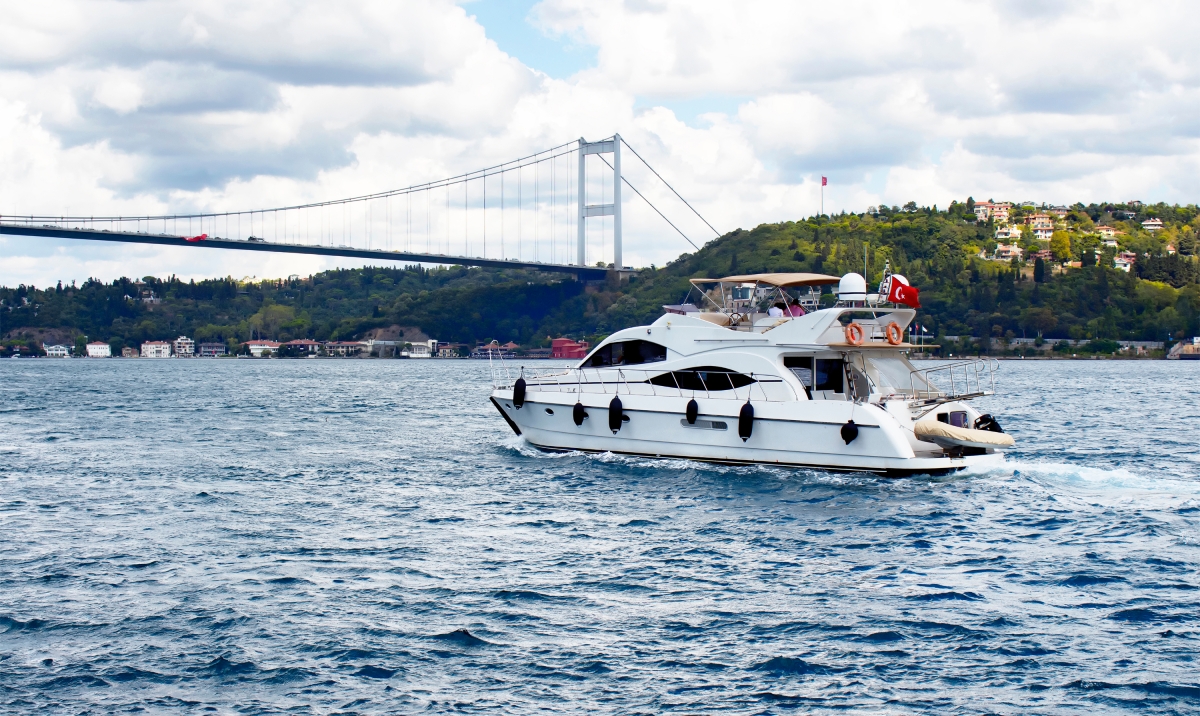 Istanbul Bosphorus Cruise & Black Sea Tour – Full Day Scenic & Cultural Experience photo 3