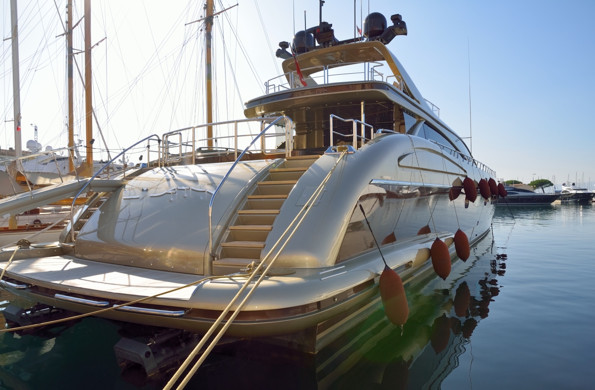 Istanbul Bosphorus Cruise & Black Sea Tour – Full Day Scenic & Cultural Experience photo 4