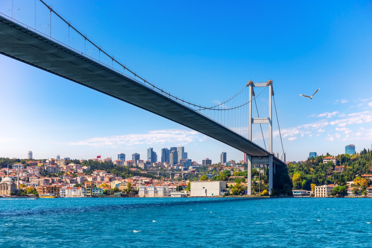 Istanbul Bosphorus Cruise & Black Sea Tour – Full Day Scenic & Cultural Experience photo 10