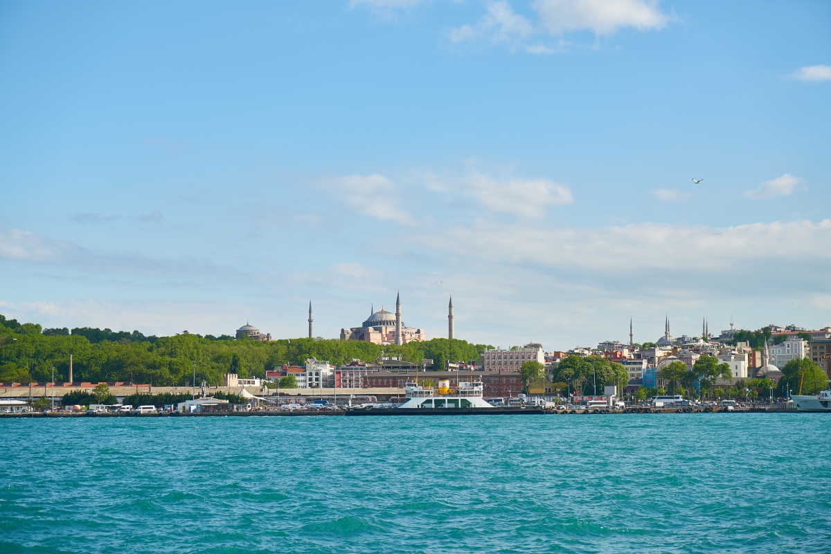 Istanbul Bosphorus Daily Cruises: Scenic Tours Between Two Continents photo 6