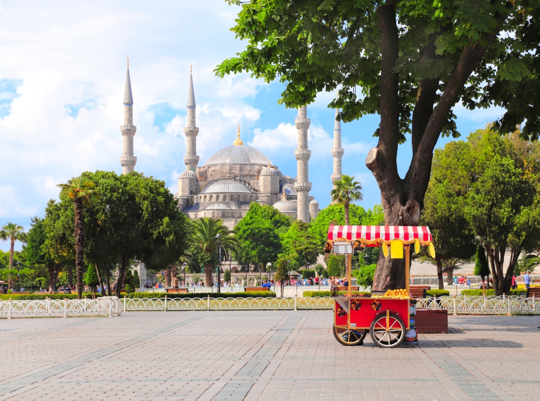 Half-Day Istanbul City Tour: Top Attractions & Highlights photo 3