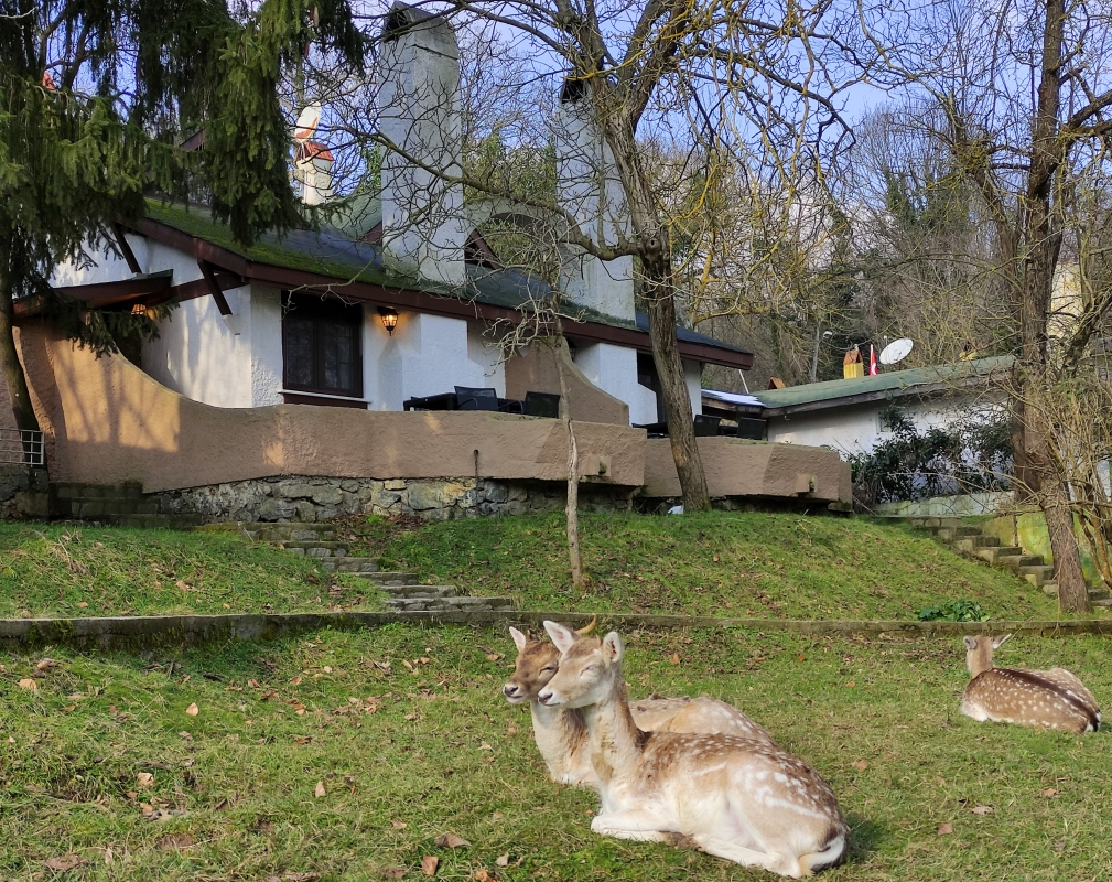 Polonezköy Village Day Tour – Nature, History & Traditional Turkish-Polish Culture photo 6