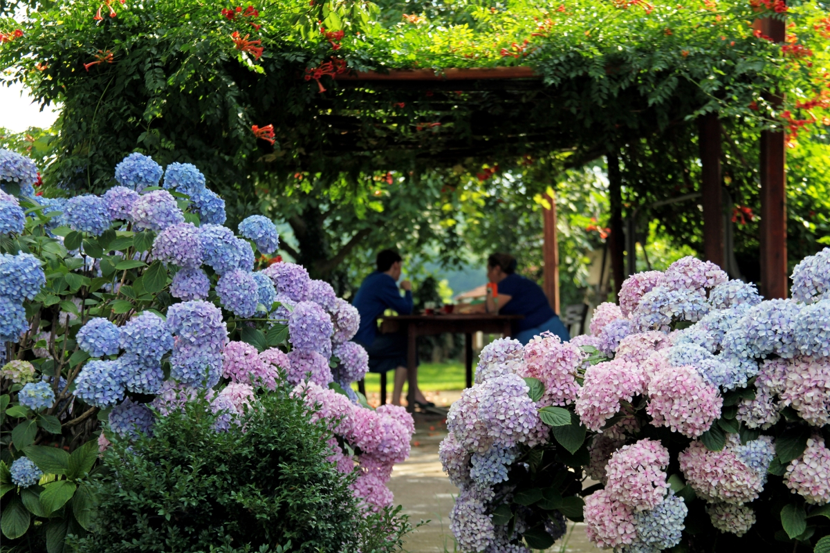 Polonezköy Village Day Tour – Nature, History & Traditional Turkish-Polish Culture photo 9