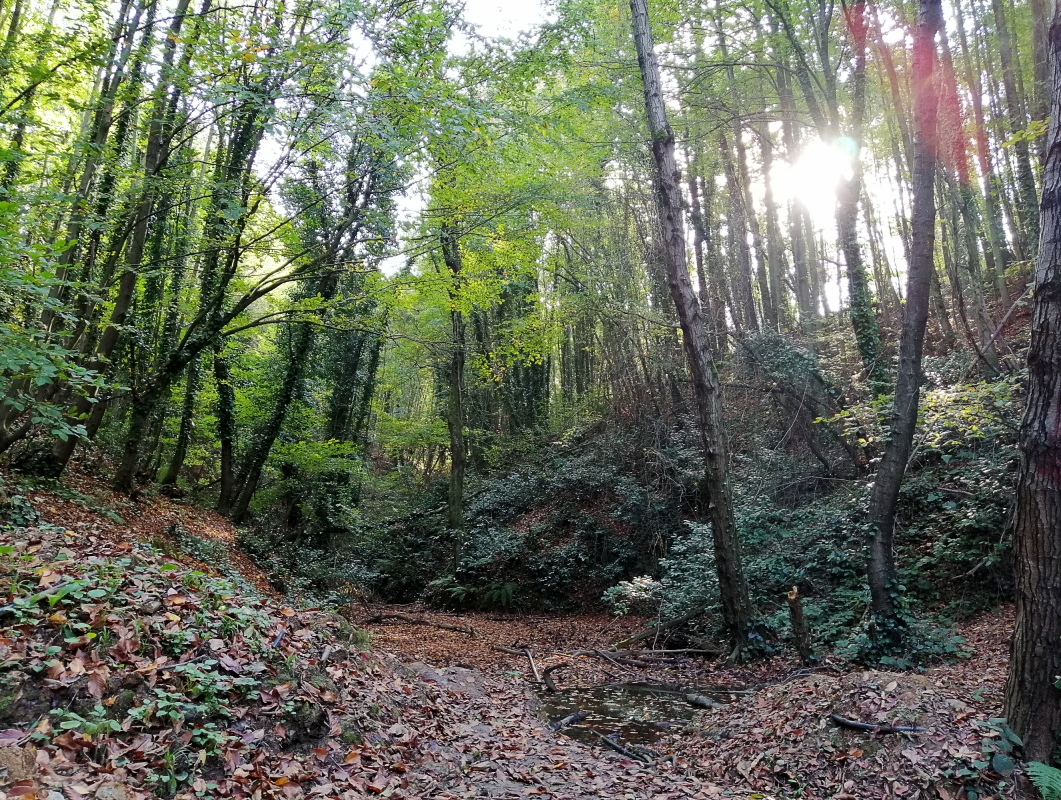 Polonezköy Village Day Tour – Nature, History & Traditional Turkish-Polish Culture photo 10