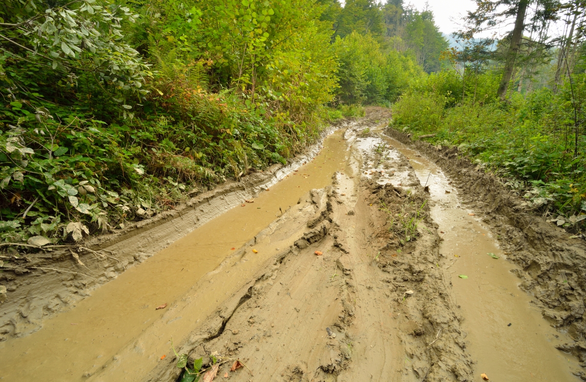 Daily Jeep Safari Istanbul – Thrilling Adventure & Natural Escape Near Istanbul photo 3