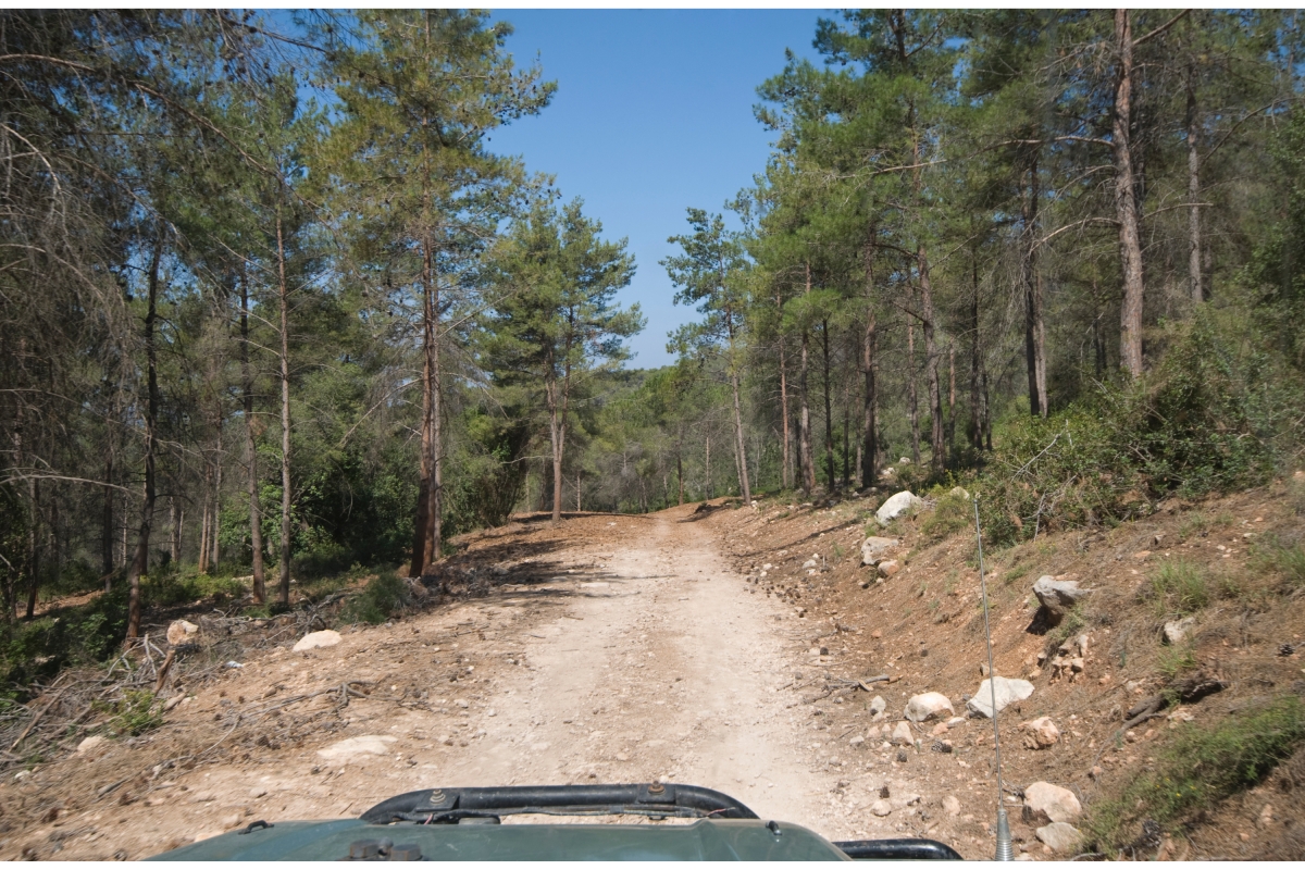 Daily Jeep Safari Istanbul – Thrilling Adventure & Natural Escape Near Istanbul photo 7