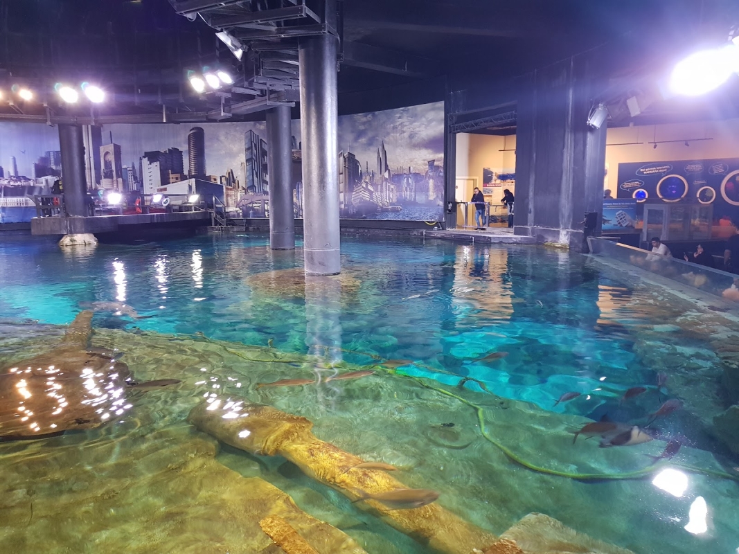 Aquarium & Aqua Florya Shopping Mall Tour Istanbul – Family-Friendly Marine Adventure photo 5