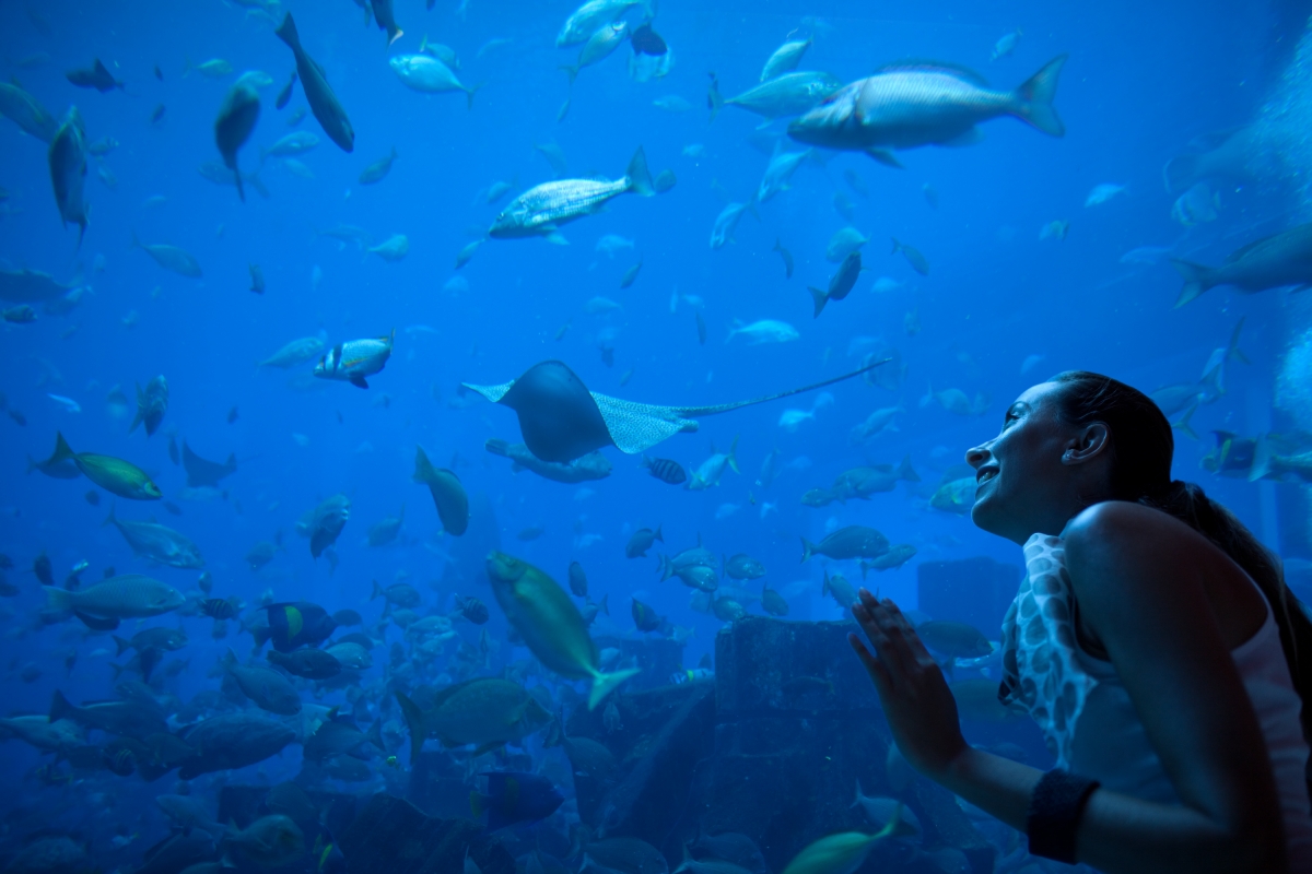 Aquarium & Aqua Florya Shopping Mall Tour Istanbul – Family-Friendly Marine Adventure photo 1